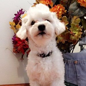 Meet your Posher, Brooke